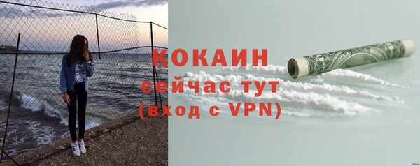 mix Богородск