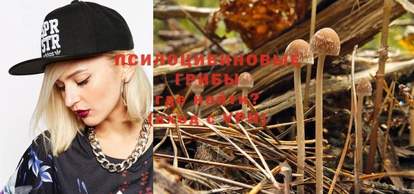 mix Бородино