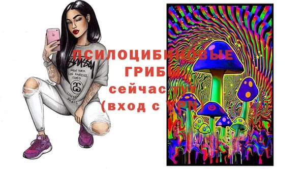 гашик Богородицк